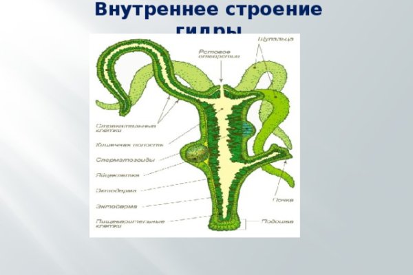 Кракен сайт kr2web in